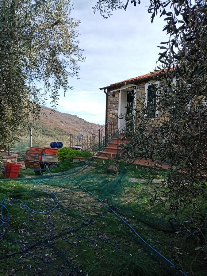 Agrisport Ca Di Cuni Lejlighed Roncagli Eksteriør billede
